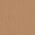 Latte Mesh