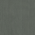 Dark Forest Mesh