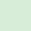 Spearmint Mesh
