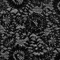 Black Zinnia Lace