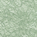 Paradise Garden Zinnia Lace
