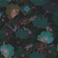 Belladonna Velvet