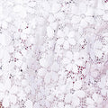 Daisy Lace