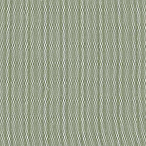 Sage Mesh