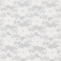 White Meadow Lace