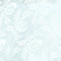 Powder Blue Lace