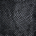 Black Snake Velvet