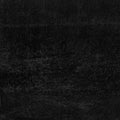 Black Velvet
