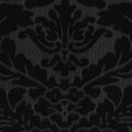  Baroque Black