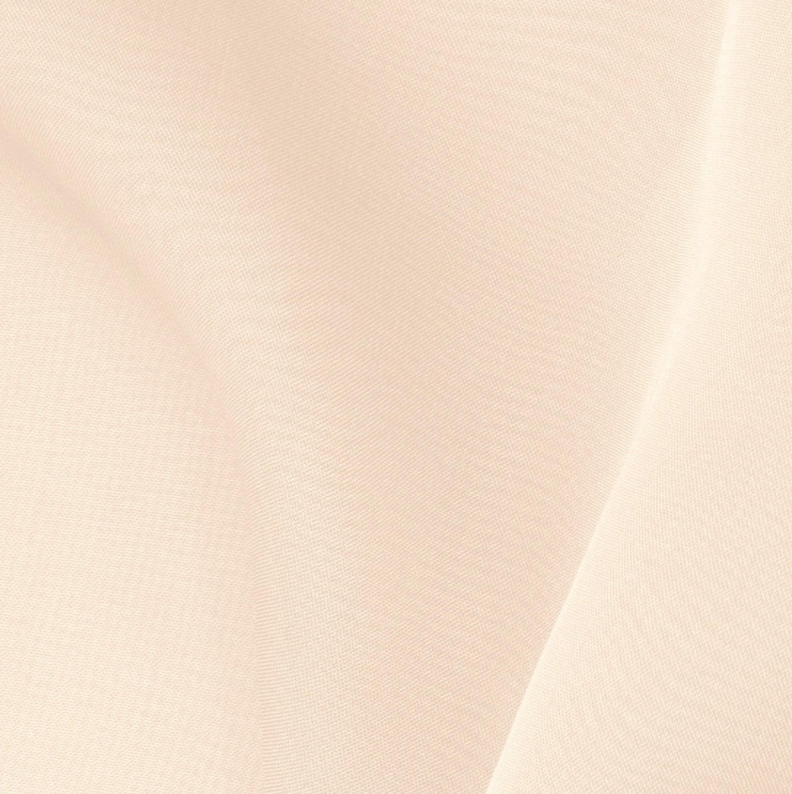  Cream Chiffon