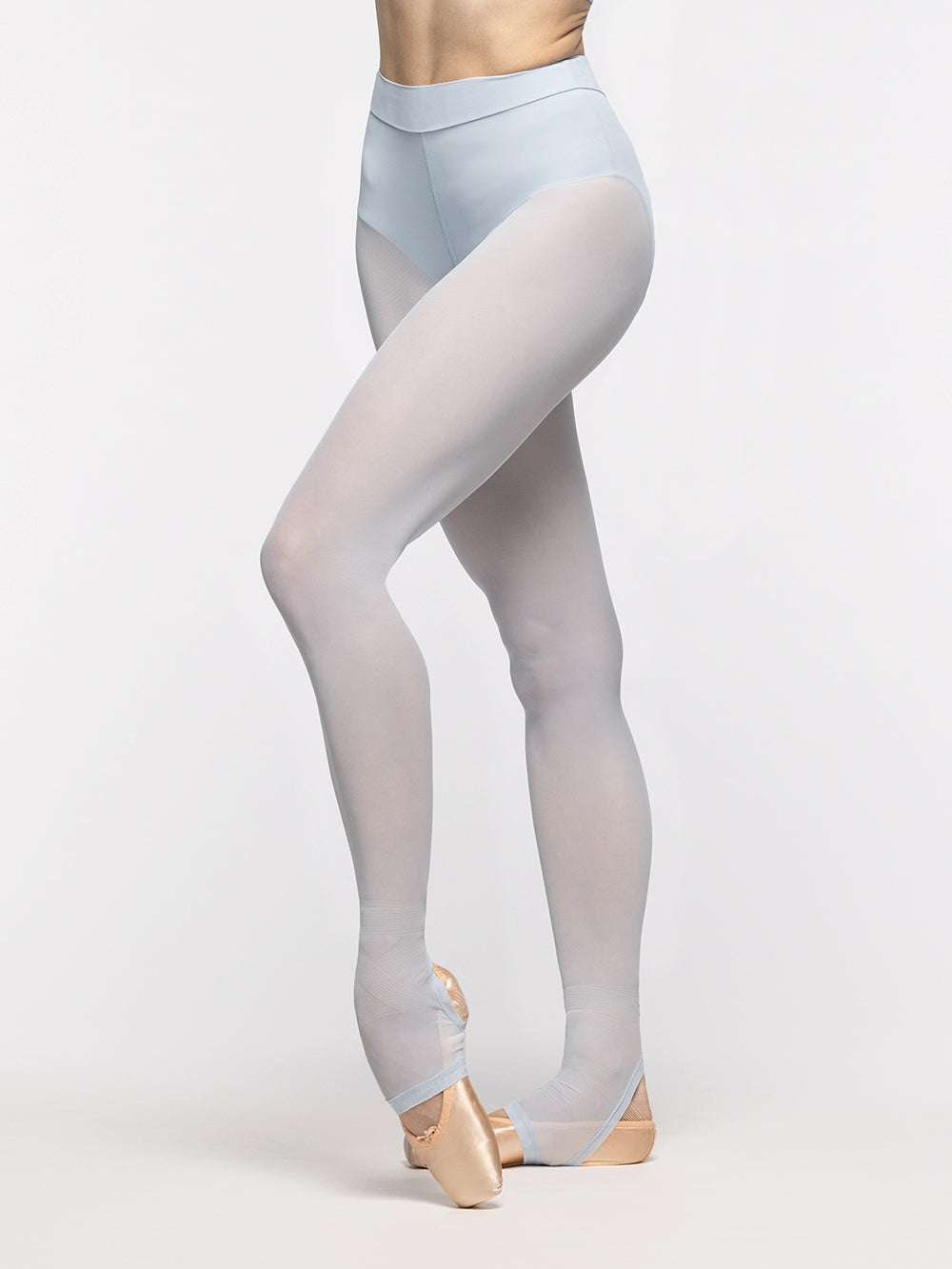 パルフェット　SHEER MESH ロングスリーブ T-BACK 中古　L Stirrup Back Seam Tights Frost Mesh | Elevé Dancewear