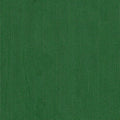 Evergreen Mesh