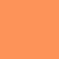  Cantaloupe