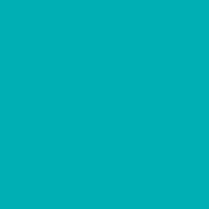 Tropical Teal