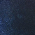  Blue Steel Velvet