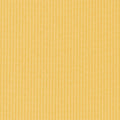  Sunshine Ribbed