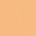 Cantaloupe Mesh