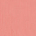 Coral Mesh
